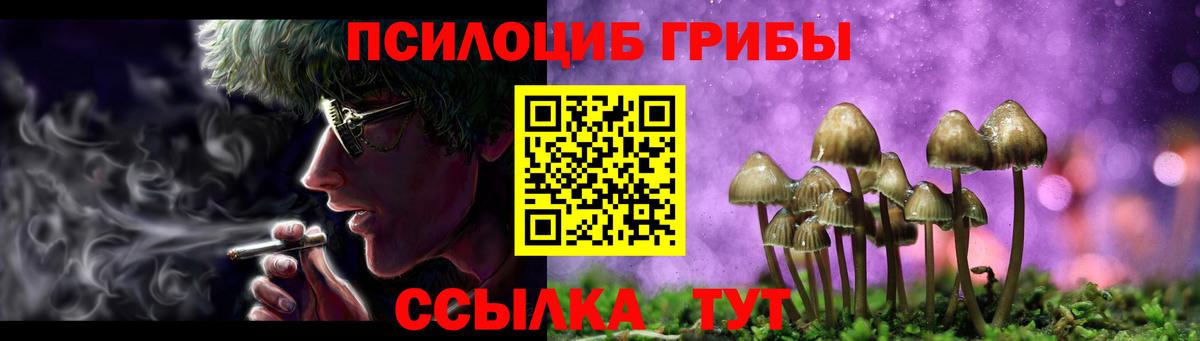 Псилоцибиновые грибы Psilocybe Дзержинский